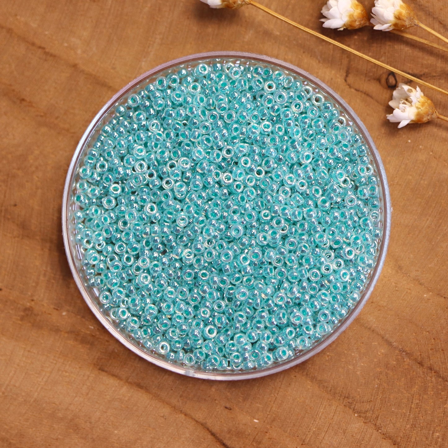 MR15-536 Ceylon Aquagrün 5 Gramm