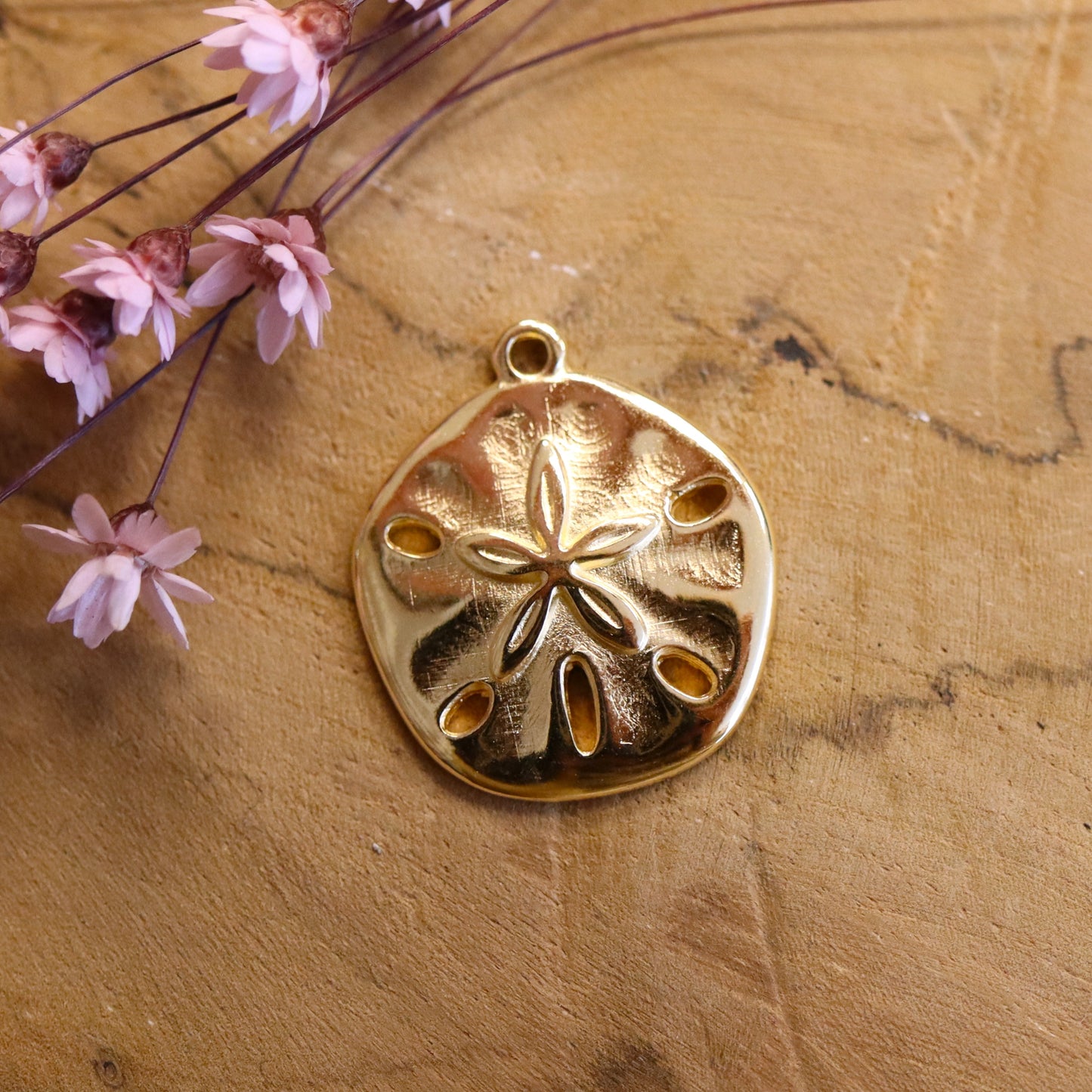 Bedel DQ GOUD zand dollar