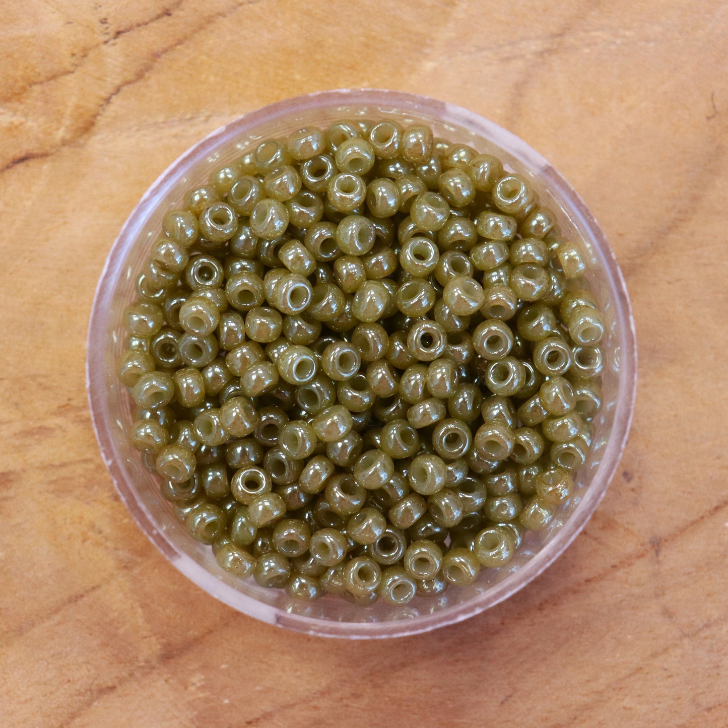 MR8-2374 Ceylon Translucent Sellerie 10 Gramm