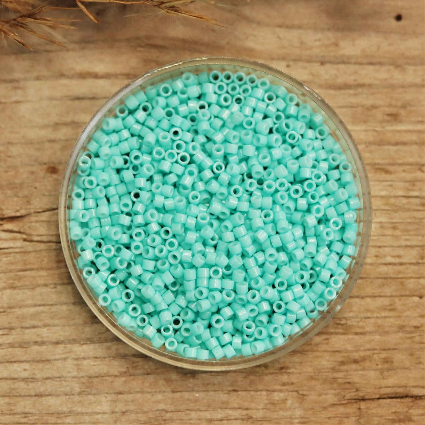 DB-2122 Duracoat opak gefärbt Catalina 5 Gramm