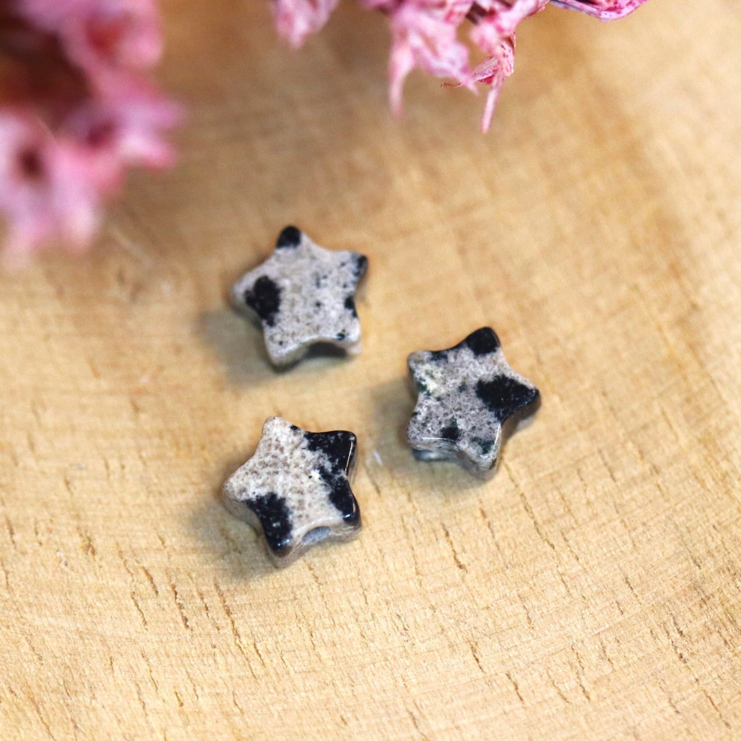 Dalmatian jasper mini star