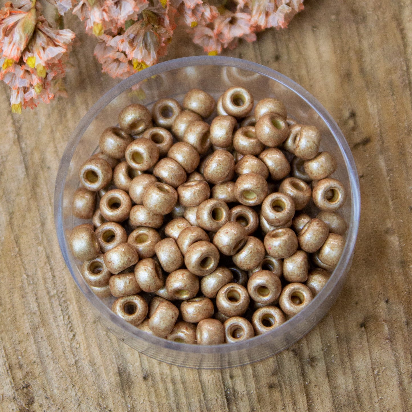 MR6-4204F Duracoat verzinkt matt Champagner 10 Gramm