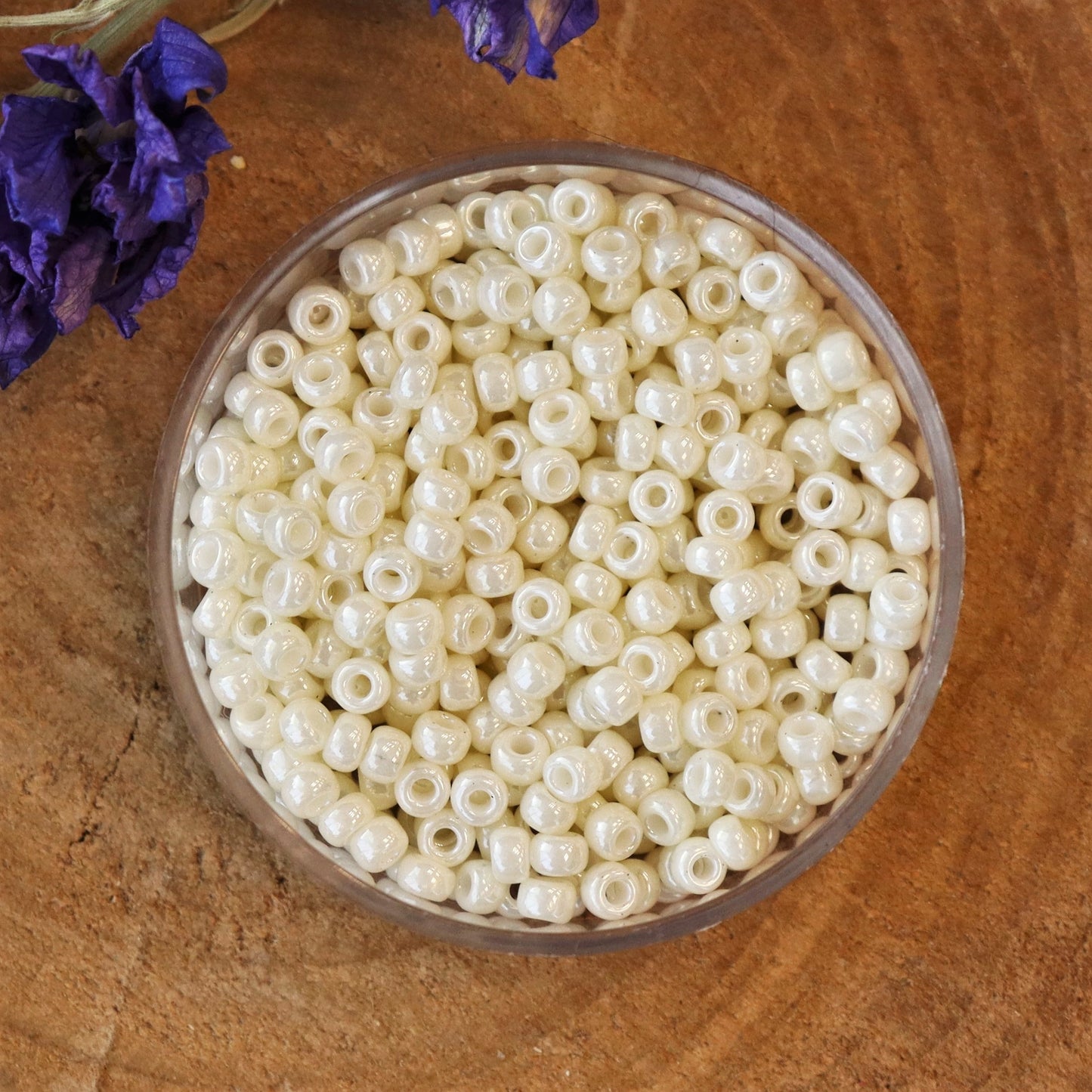 MR8-594 Ceyloncreme 10 Gramm