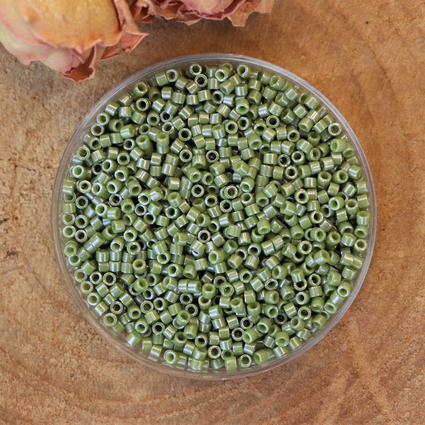 DB-263 Kaktus-Kronleuchter 5 Gramm