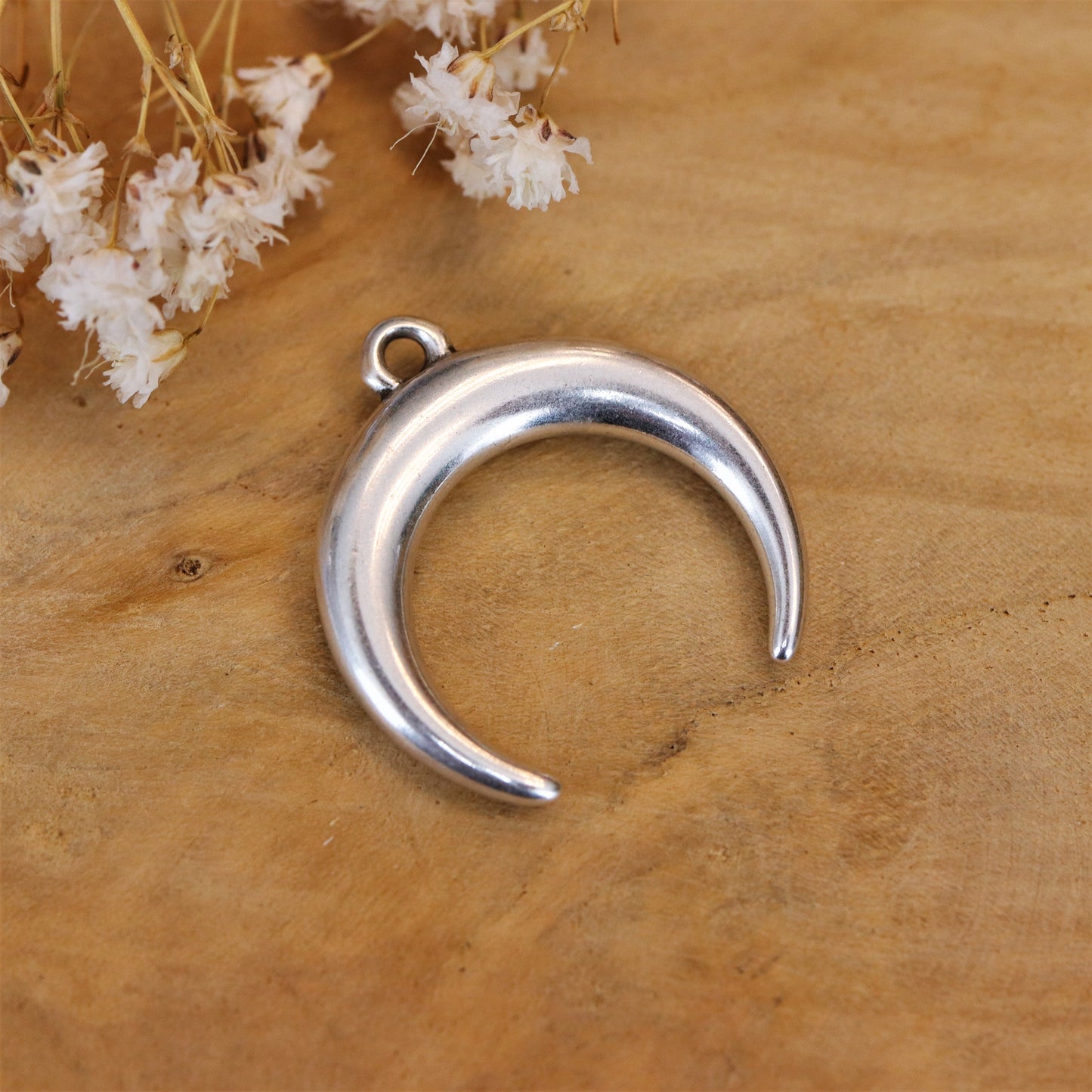 Bedel DQ zilver maanbot