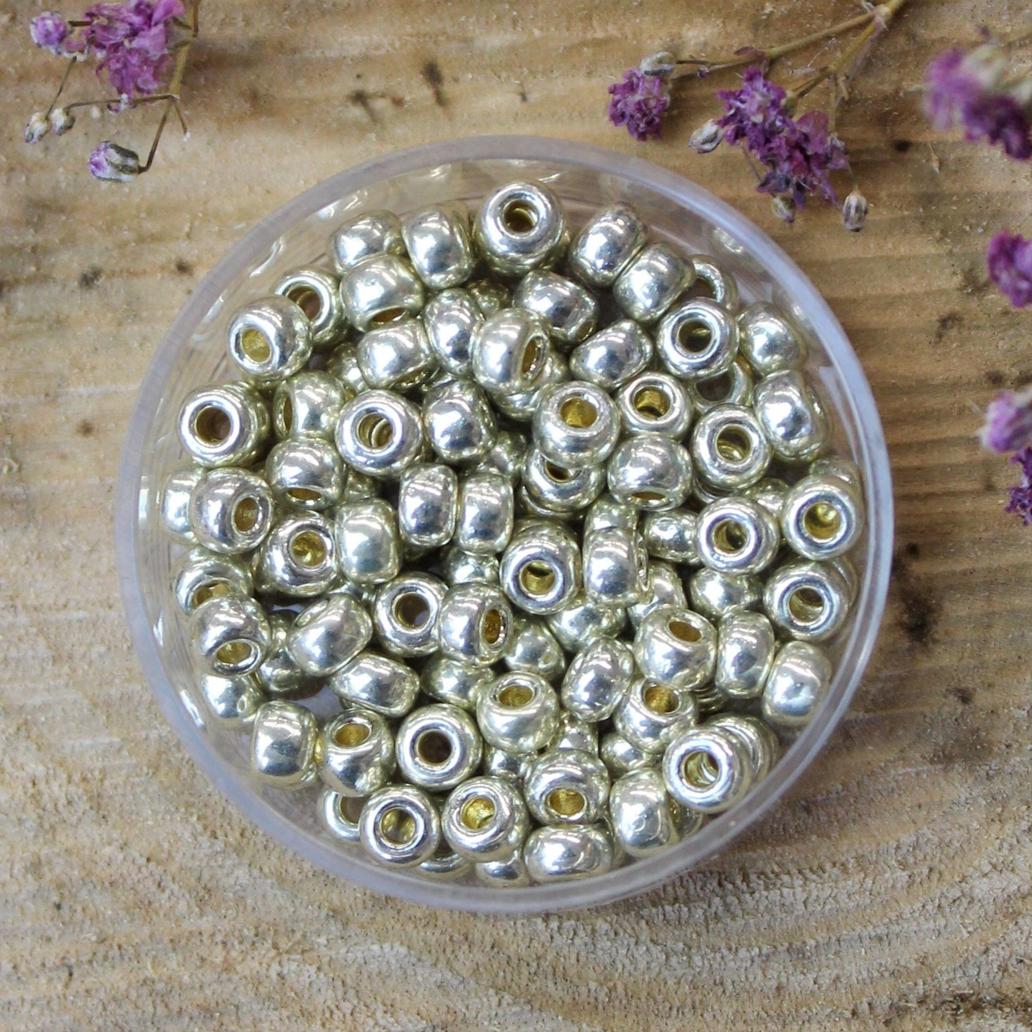 MR6-4201 Duracoat galvanized silver 10 gram