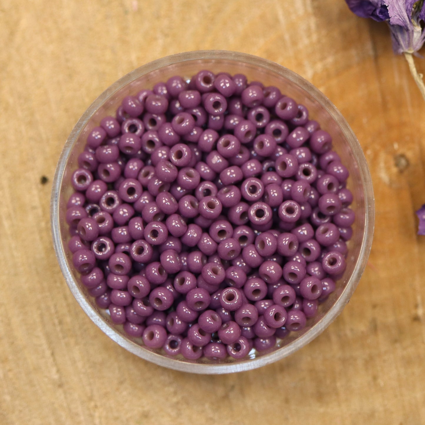 MR8-4489 Duracoat opak dunkle Orchidee 10 Gramm