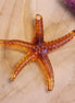 Bedel acryl - zeester amber