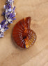 Kraal acryl - schelp amber