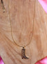 Stainless steel ketting cowboylaars