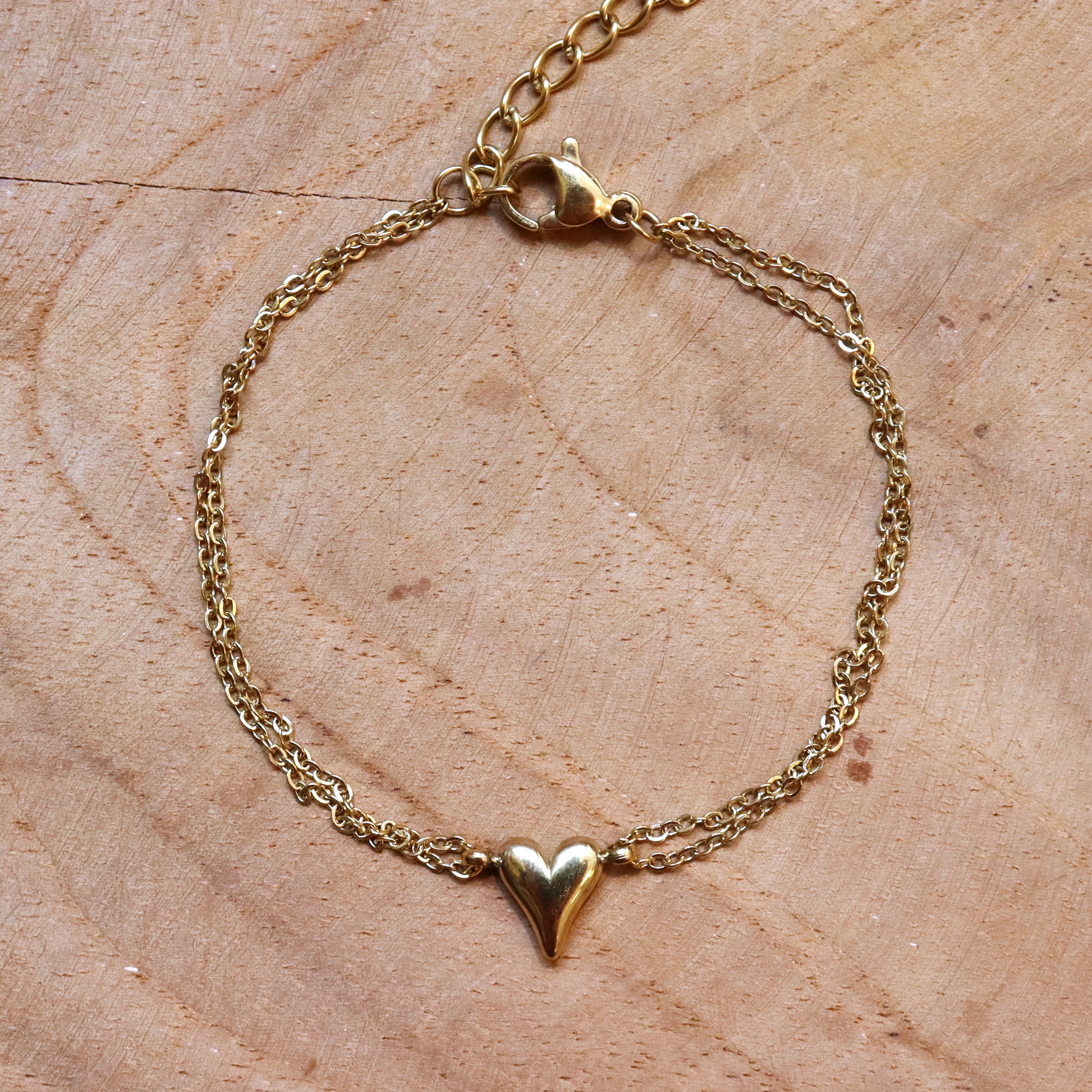 Stainless steel armband hart dubbel jasseron goud