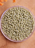 MR11-4474 Duracoat Opaque Dyed Cactus