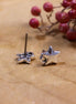 DQ silver star stud