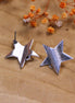 DQ silver stud earring with star
