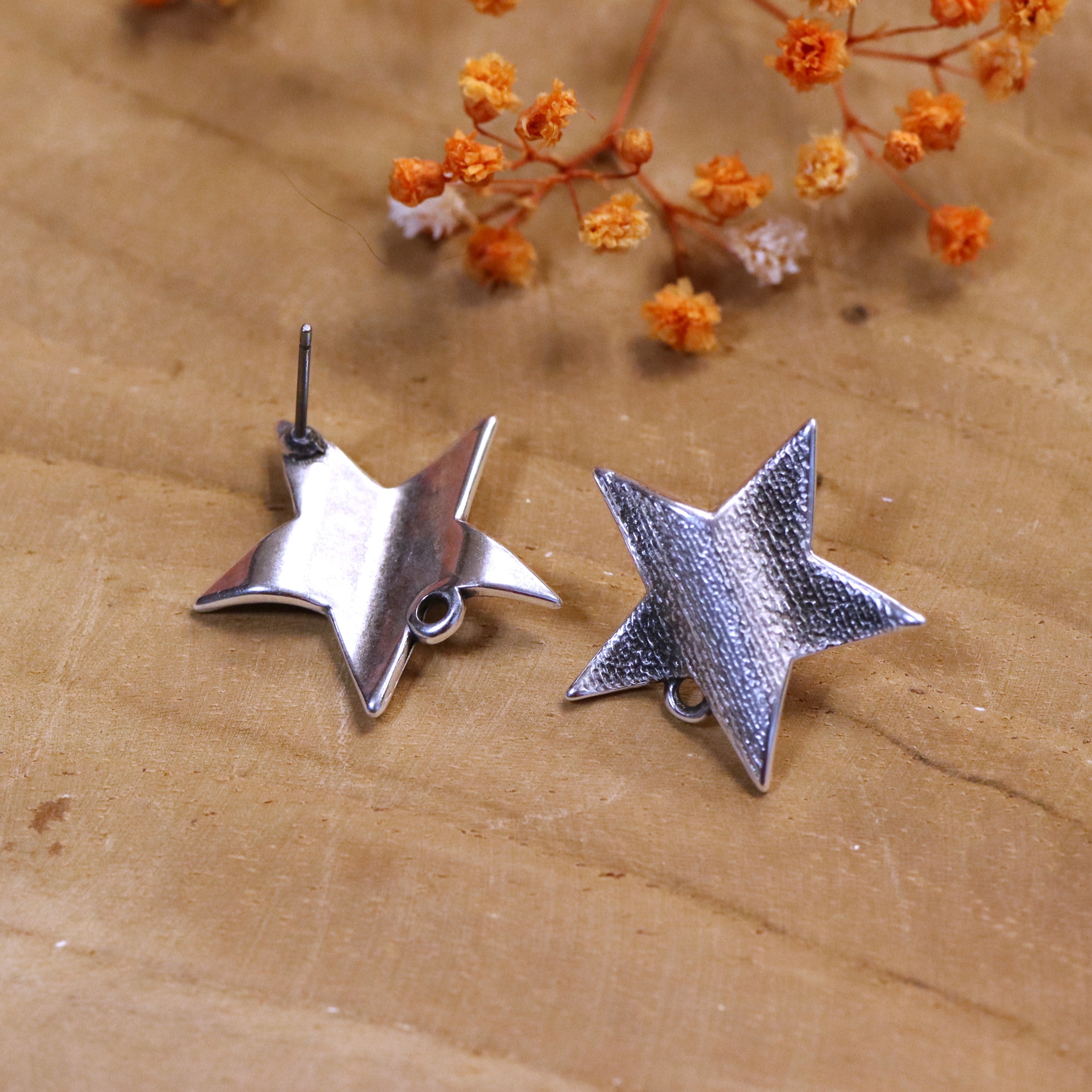 DQ silver stud earring with star