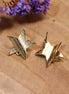 DQ GOLD stud earrings with star