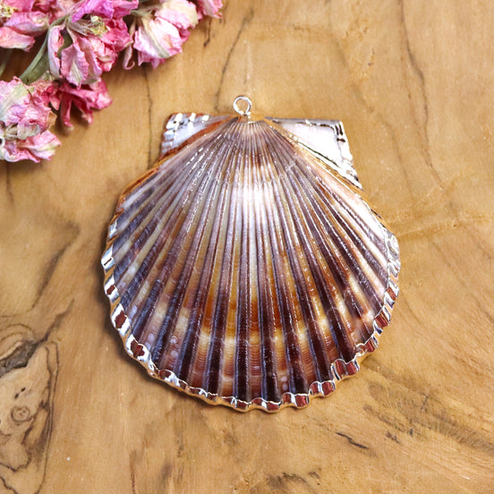 Goldplated grote schelpbedel