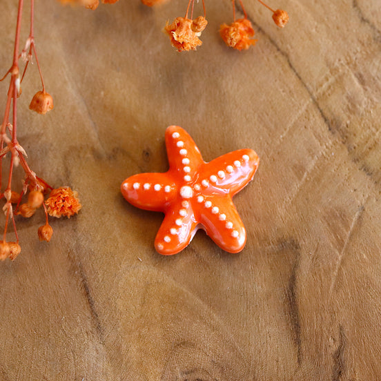 Kraal oranje - keramieken zeester