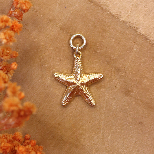 Starfish earring clasp - gold