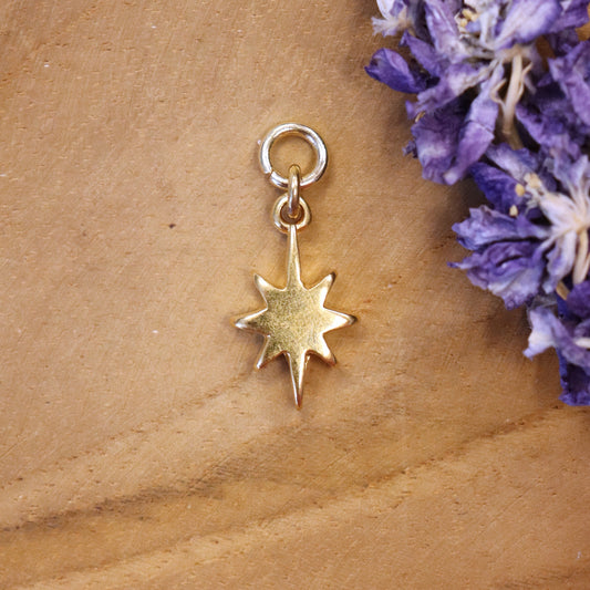 Earring clasp sparkle - gold