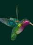 Vondels ornament - Kolibrie