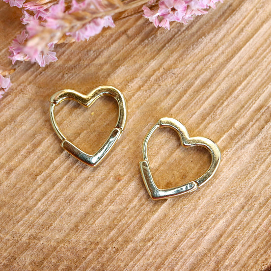 Stainless steel oorringen hartvormig