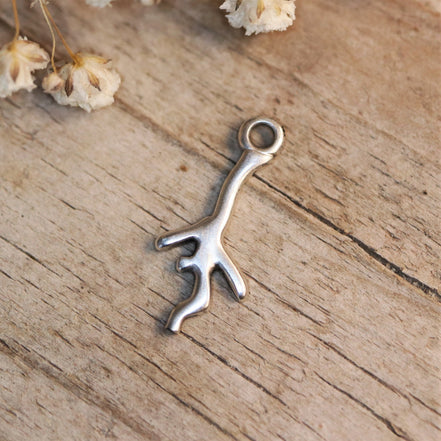 DQ silver coral charm