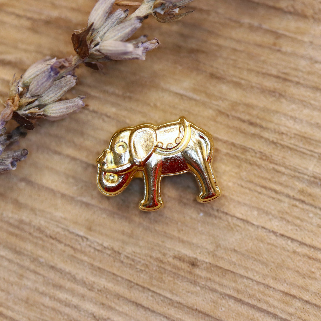 Kraal DQ GOUD olifant