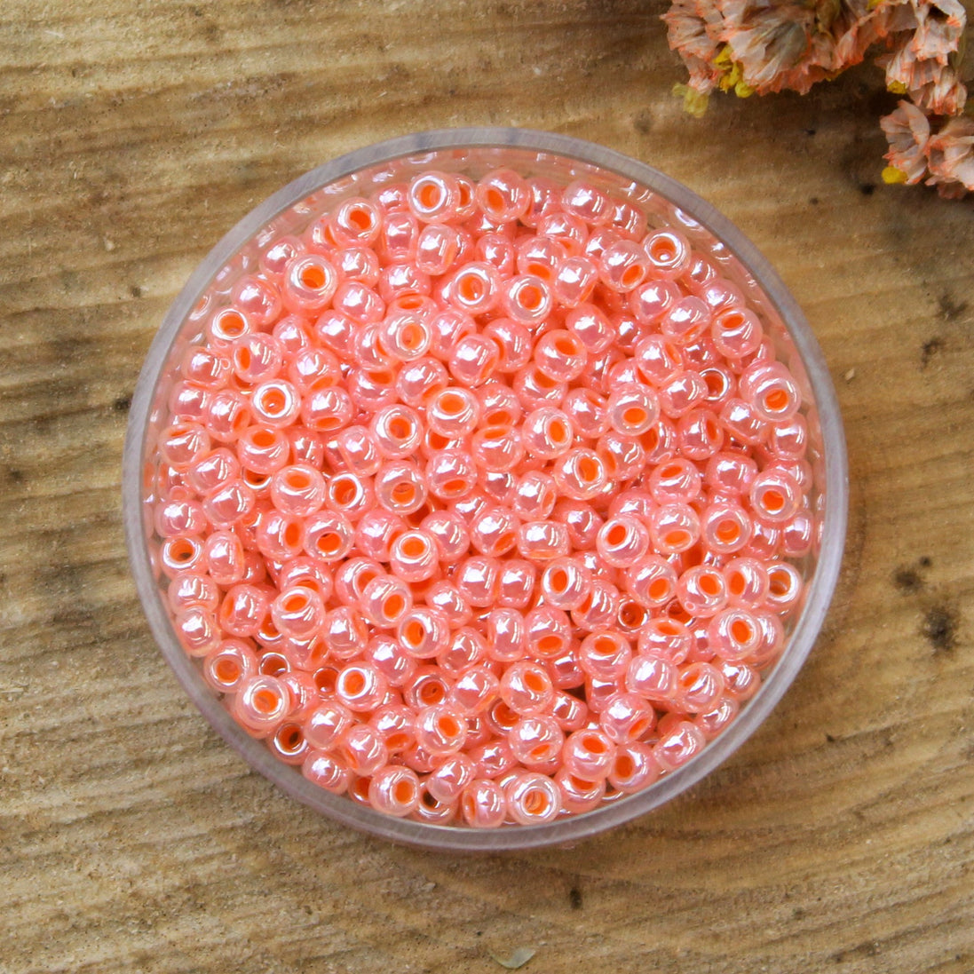 MR8-539 Ceylon salmon 10 gram