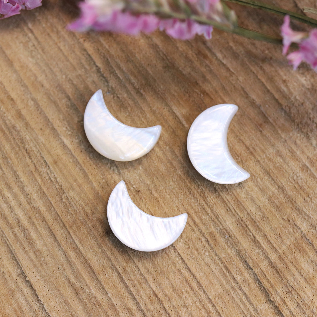 Trochus Muschelperle Mond