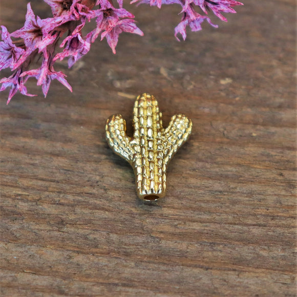 Kraal DQ GOUD cactus