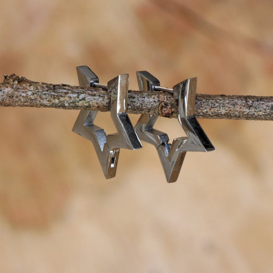 Stainless steel sterrenoorbellen zilver