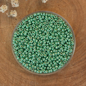 MR11-4214 Duracoat galvanized dark mint green 10 gram