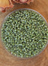 DB-263 Cactus luster 5 gram