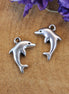 DQ silver dolphin charm