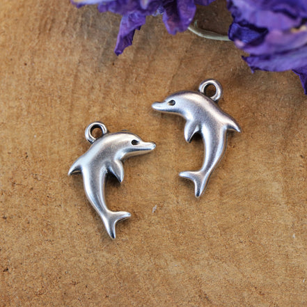 DQ silver dolphin charm