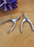 Bedel DQ zilver wishbone