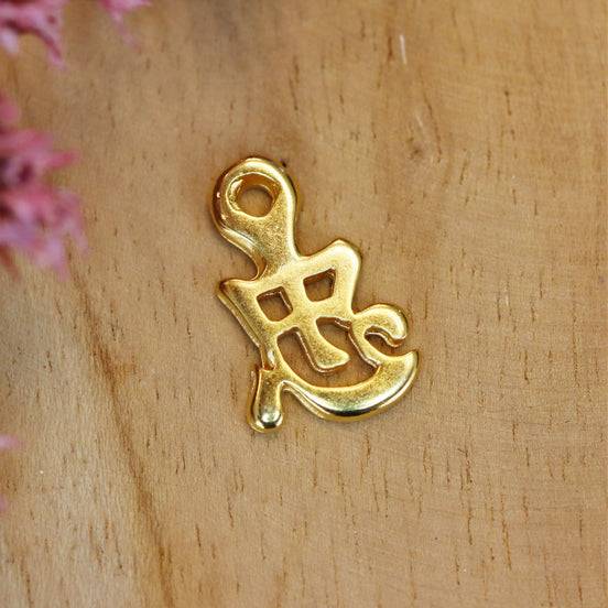 DQ GOLD Chinesisches Glückszeichen Charm