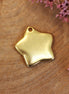 DQ GOLD solid star pendant