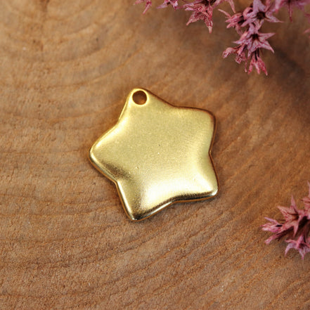 DQ GOLD solid star pendant