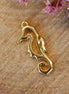 DQ GOLD seahorse charm