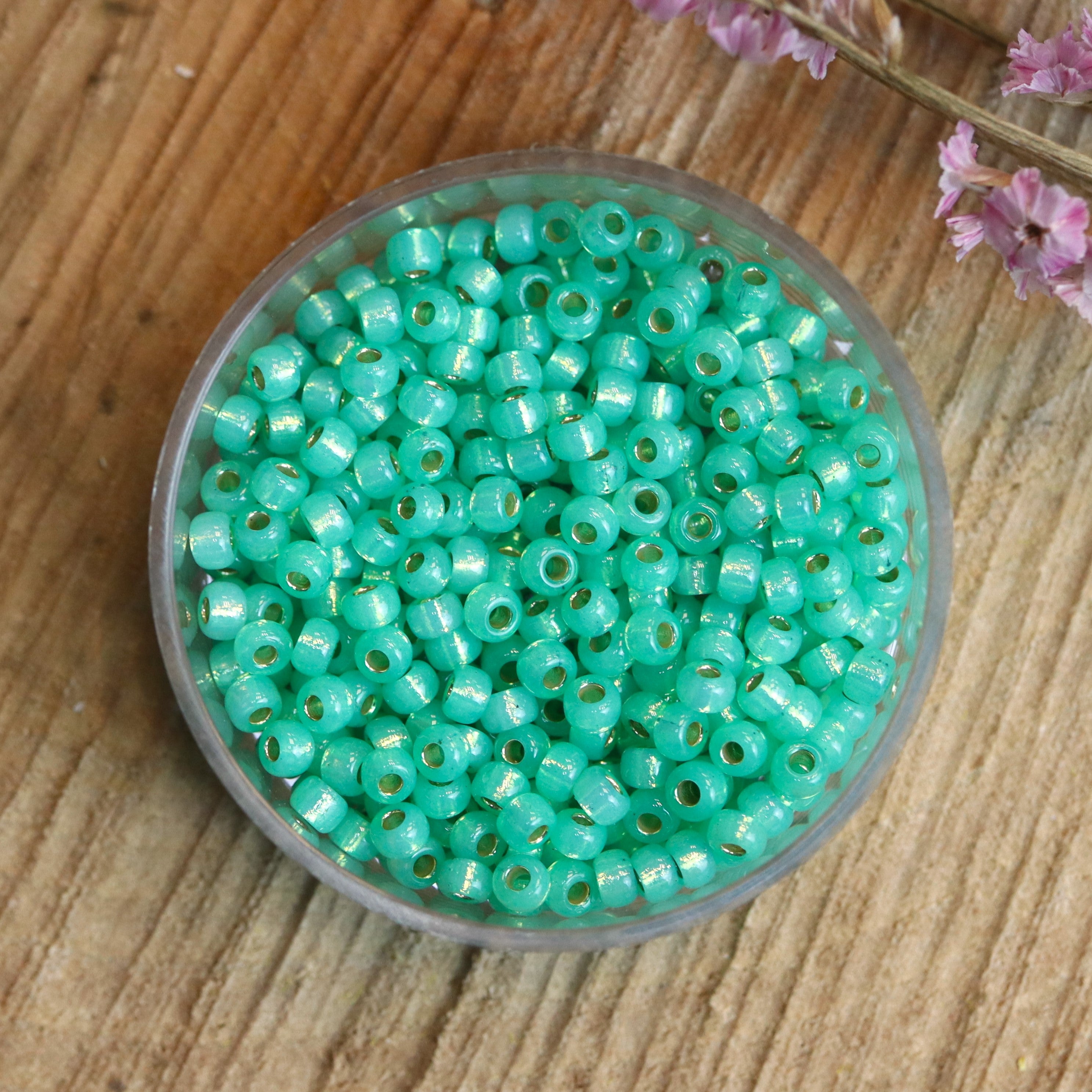 MR8-4240 Duracoat silverlined dyed mint