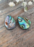 Abalone Muschel Tropfen
