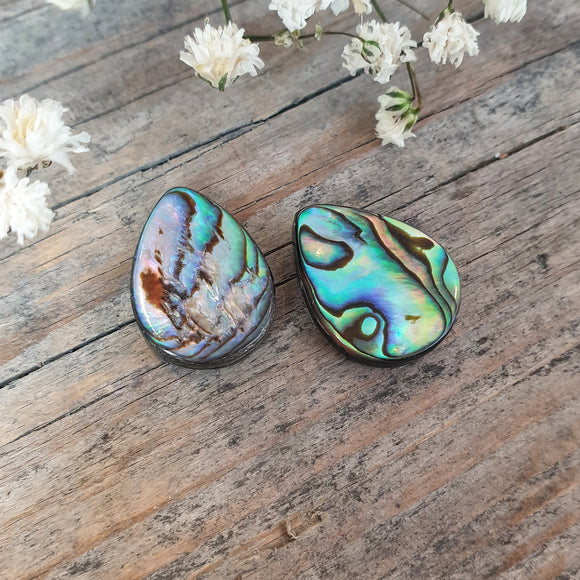 Abalone schelp druppel