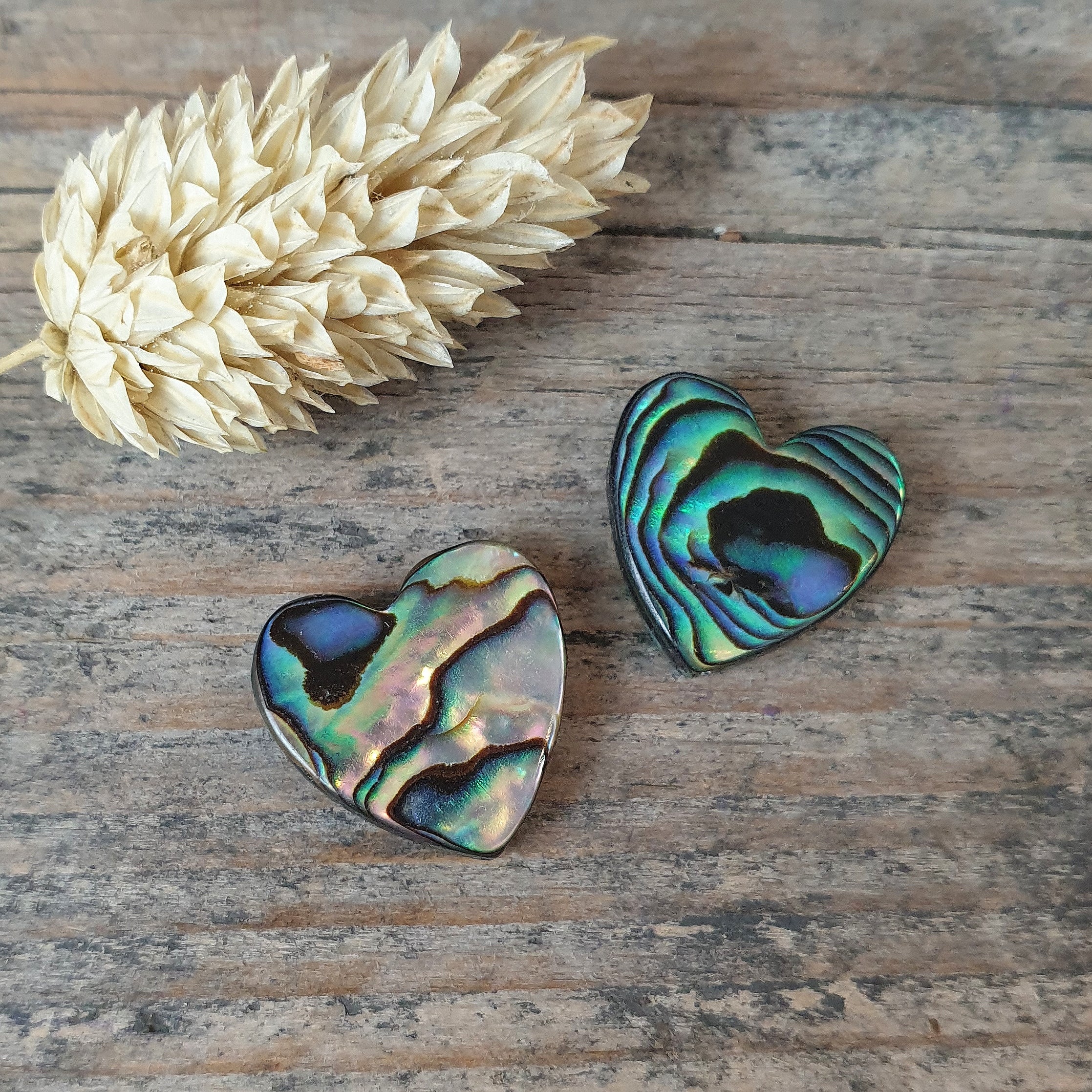 Abalone Muschel Herz