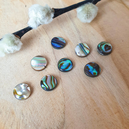 Abalone schelp rond klein