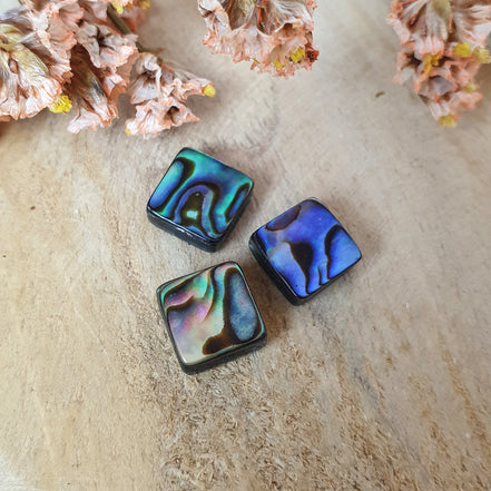 Abalone schelp vierkant