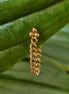 Stainless steel oorsteker met kettinkje goud