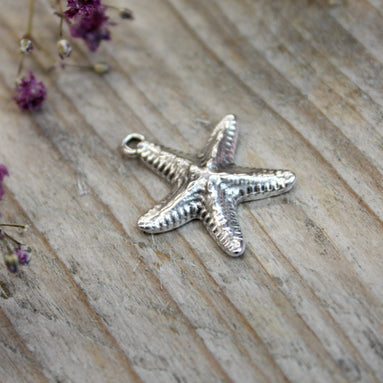 Bedel DQ zilver grote zeester