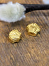Perle DQ GOLD Muschel